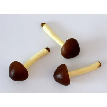 umělá květina Hříbek prům. 4 x 9 cm - 1 ks