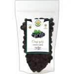 Salvia Paradise Černý rybíz sušený mrazem - lyofilizovaný 1000 g