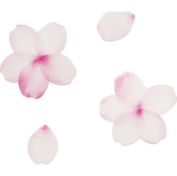 samolepka Scrapbookové samolepky květinové plátky růžové