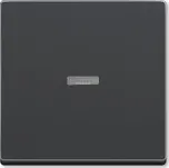 ABB Kryt spínače jednoduchý s čirým průzorem, antracitová (Future linear, Solo, Solo carat, Busch-axcent)