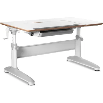 Dětský stůl Rostoucí stůl Mayer Expert