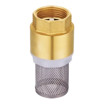 Zpětná klapka s nerezovým sítkem 1"