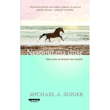 Osobní rozvoj Nespoutaná duše: Vaše cesta za hranice vás samých - Michael A. Singer (2024, pevná)