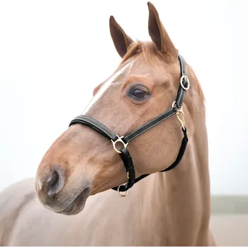 Horze Largo kožená ohlávka pro koně Barva: Černá, Velikost: Cob