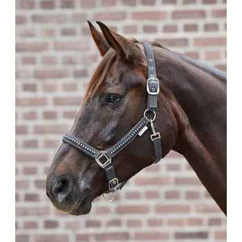 Waldhausen Ohlávka pro koně s kamínky Barva: Šedá, Velikost: Pony