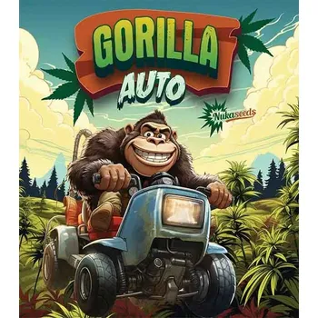 Semeno Gorilla AUTO – samonakvétací semena | Nuka Seeds Počet semen: 3