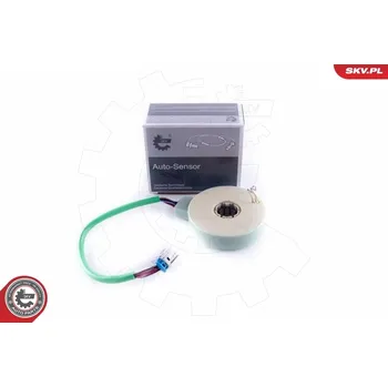 SKV Snímač úhlu rejdu 17SKV479