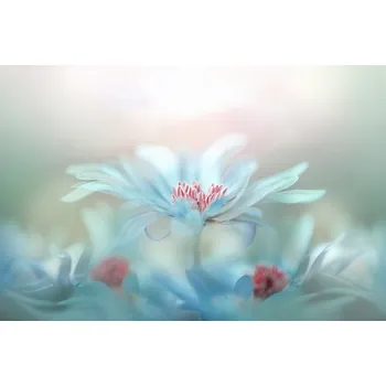 Plakát Plakát, Obraz - Fantasy, Jacky Parker