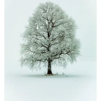 Plakát Plakát, Obraz - Nimloth, Heinz Hieke