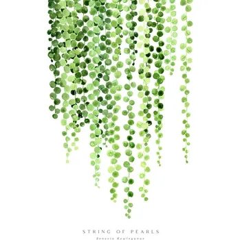 Plakát Plakát, Obraz - Watercolor string of pearls illustration, Blursbyai