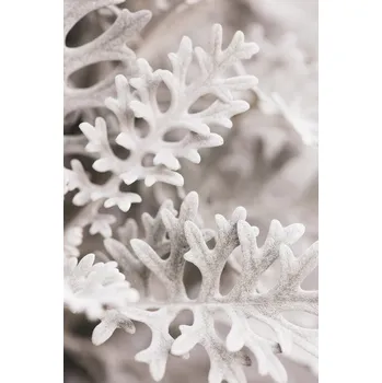 Plakát Plakát, Obraz - Silver Leaves, Studio Collection