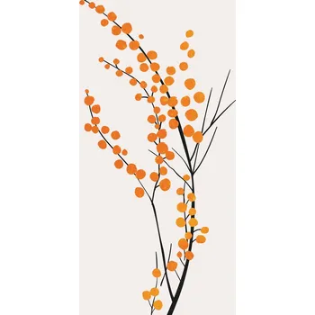 Plakát Plakát, Obraz - Wild Berries, Kubistika