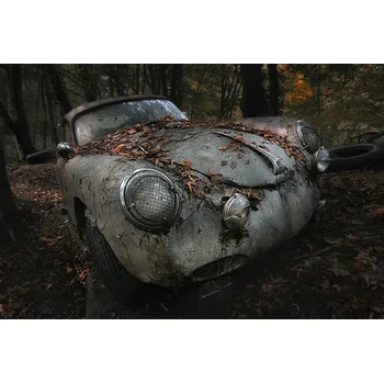 Plakát Plakát, Obraz - red forest, holger	droste