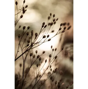 Plakát Plakát, Obraz - Autumn Lights, Mareike Böhmer