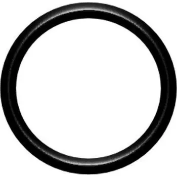 RC náhradní díl DICHTOMATIK O-kroužek 100x2 EPDM70 DIN3771