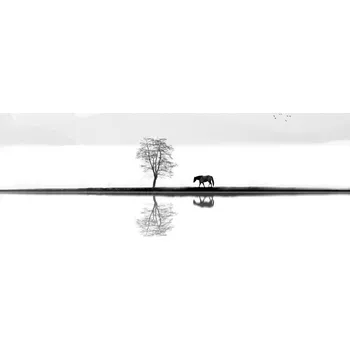 Plakát Plakát, Obraz - Quiet Moment, Ivan Huang