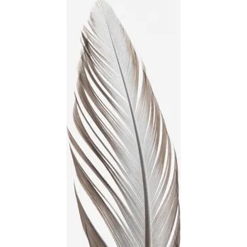 Plakát Plakát, Obraz - Feather_003, Studio Collection
