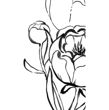 Plakát Plakát, Obraz - Peony line art, Blursbyai