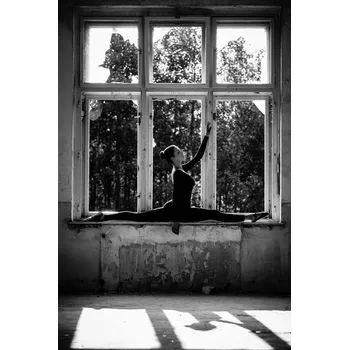 Plakát Plakát, Obraz - Dance, Martin Krystynek MQEP