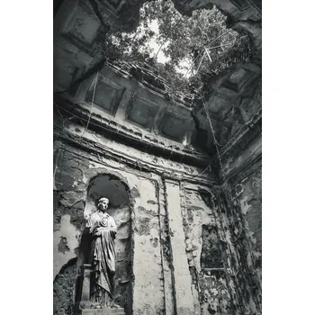 Plakát Plakát, Obraz - Looking into the past, Raceala Elena