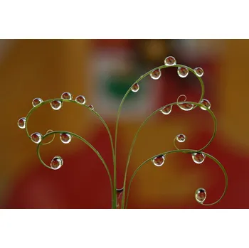 Plakát Plakát, Obraz - Garuda Pancasilaq in Dews, Abdul Gapur Dayak