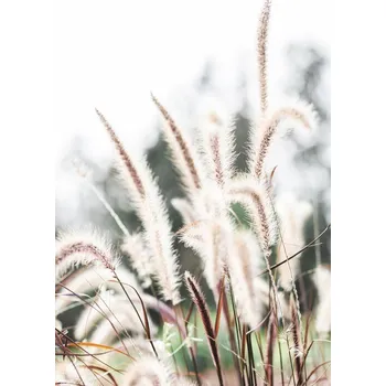 Plakát Plakát, Obraz - Grass, Studio Collection