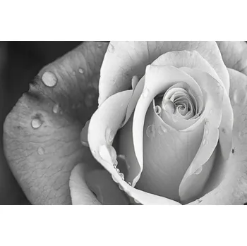 Plakát Plakát, Obraz - Rain Drops, Cicek Kiral