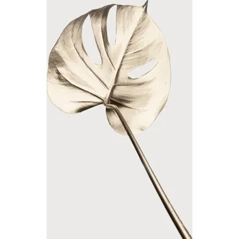 Plakát Plakát, Obraz - Monstera Gold 05, Studio Collection