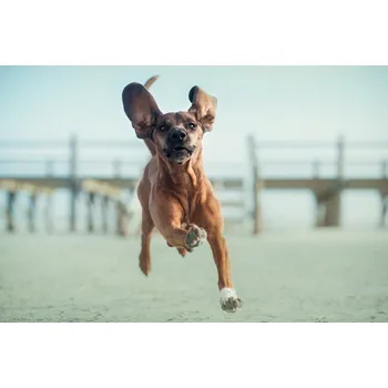 Plakát Plakát, Obraz - ....up, up to the sky...., Heike Willers