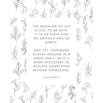 Plakát Plakát, Obraz - Alanwatts, Beth Cai