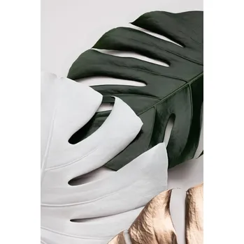 Plakát Plakát, Obraz - Monstera Colors 01, Studio Collection