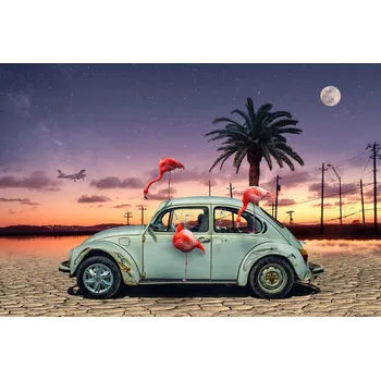 Plakát Plakát, Obraz - Flamingos Ate My Car, Christian Marcel