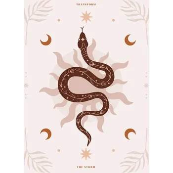 Plakát Plakát, Obraz - Snake Transform, Beth Cai