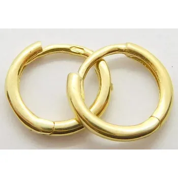 Náušnice Klenoty Budín Dámské zlaté malé kruhy do ušního boltce (náušnice) 585/0,65gr 02220 (Klenoty Budín Dámské zlaté malé kruhy do ušního boltce (náušnice) 585/0,65gr 02220)