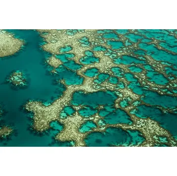 Plakát Plakát, Obraz - Gondwana, Karsten Wrobel