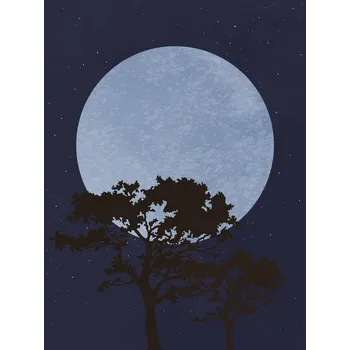 Plakát Plakát, Obraz - Dark Night, Studio Collection