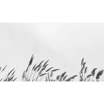 Plakát Plakát, Obraz - border grass top, Finlay & Noa