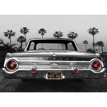 Plakát Plakát, Obraz - Ford Galaxie 500XL, Larry Butterworth