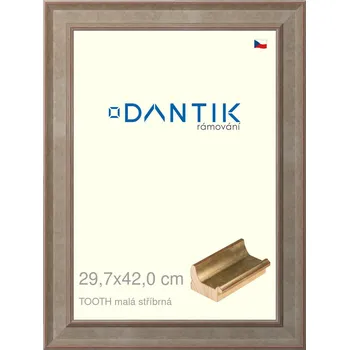 Rám na obraz DANTIK rámeček 29,7x42 | TOOTH malá stříbrná (Plexi Čiré) (Vyrobeno s láskou u nás v DANTIKU)