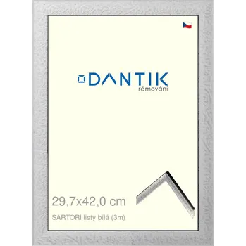 Rám na obraz DANTIK rámeček 29,7x42 | SARTORI listy čílá (Plexi Čiré) (Vyrobeno s láskou u nás v DANTIKU)