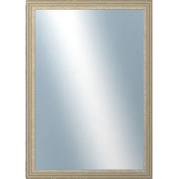 Zrcadlo DANTIK - Zarámované zrcadlo - rozměr s rámem cca 50x70 cm z lišty LYON stříbrná (2704)