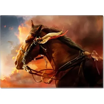 Koberec Moderní dětský koberec s koněm - 16,100 x 150 cm 39 x 59 palců