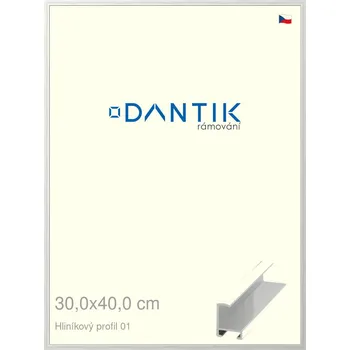 Rám na obraz DANTIK rámeček 30x40 | ALU profil 6001 Stříbrná lesklá (Plexi Čiré) (Vyrobeno s láskou u nás v DANTIKU)