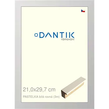 Rám na obraz DANTIK rámeček 21x29,7 | PASTELKA bílá rovná (Sklo Čiré) (Vyrobeno s láskou u nás v DANTIKU)