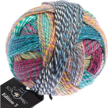 Příze Schoppel Wolle Edition 3 2511 All inclusiv (Příze Edition 3 2511 All inclusiv)