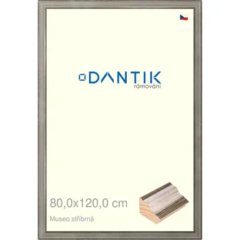 Rám na obraz DANTIK rámeček 80x120 | Museo stříbrná (Plexi Čiré) (Vyrobeno s láskou u nás v DANTIKU)