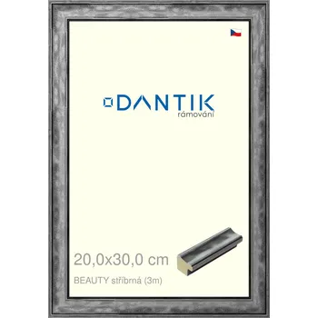 Rám na obraz DANTIK rámeček 20x30 | BEAUTY stříbrná (Sklo Čiré) (Vyrobeno s láskou u nás v DANTIKU)