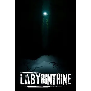 Počítačová hra Labyrinthine PC