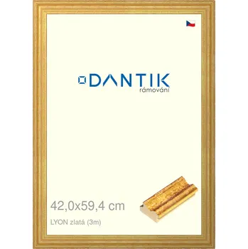 Rám na obraz DANTIK rámeček 42x59,4 | LYON zlatá (Plexi Čiré) (Vyrobeno s láskou u nás v DANTIKU)