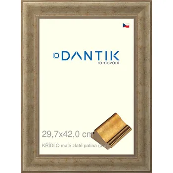 Rám na obraz DANTIK rámeček 29,7x42 | KŘÍDLO malé zlaté patina (Plexi Čiré) (Vyrobeno s láskou u nás v DANTIKU)